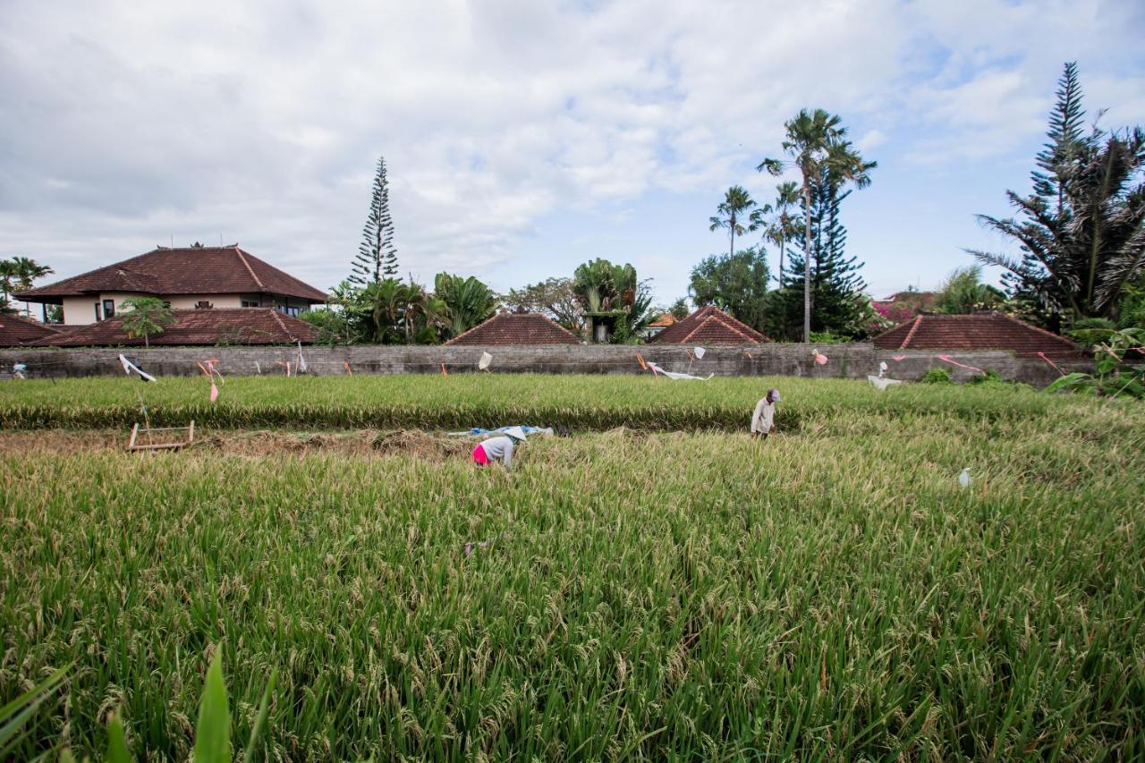 Piece Of Peace Private 3br With Large Pool And Garden *